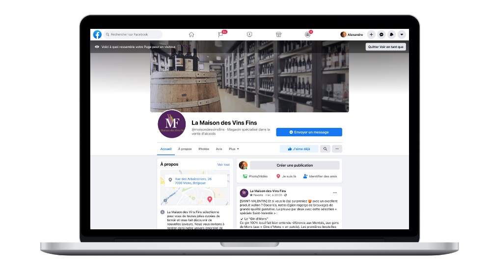 web portfolio mvf